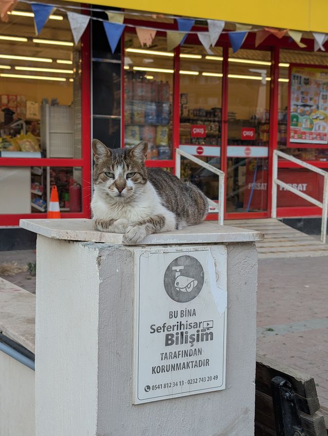 A tabby and white stray cat lounges in a loaf position on top of a concrete security camera housing, looking directly at the camera. The housing bears a sign reading "Bu Bina Seferihisar Bilişim Tarafından Korunmaktadır" (This building is protected by Seferihisar Bilişim). A supermarket with a yellow awning, red window frames, and colourful bunting is visible in the background.