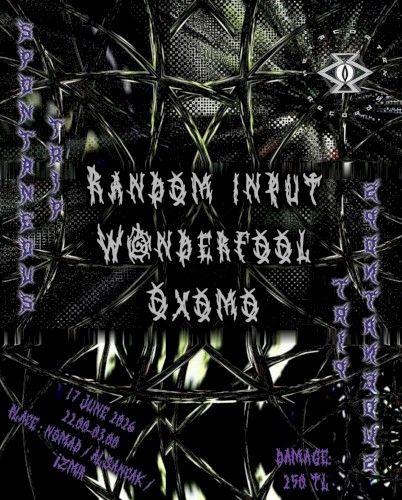 Wanderfool, Oxomo & Random Input at NØMADS-36
